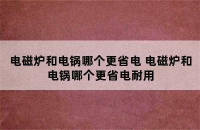 电磁炉和电锅哪个更省电 电磁炉和电锅哪个更省电耐用